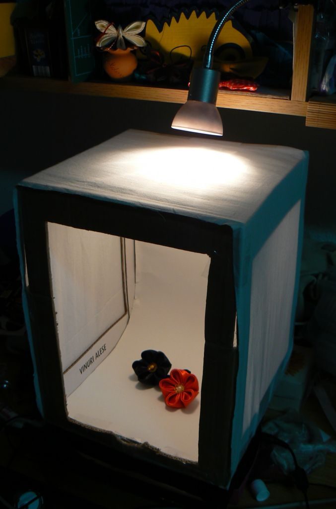 Cutia mea de lumină, cu o lampă cu halogen prinsă deasupra. 