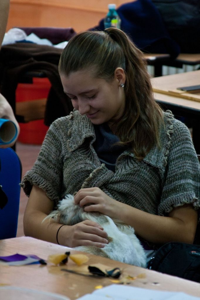 Workshop de albine kanzashi la Timișoara 13