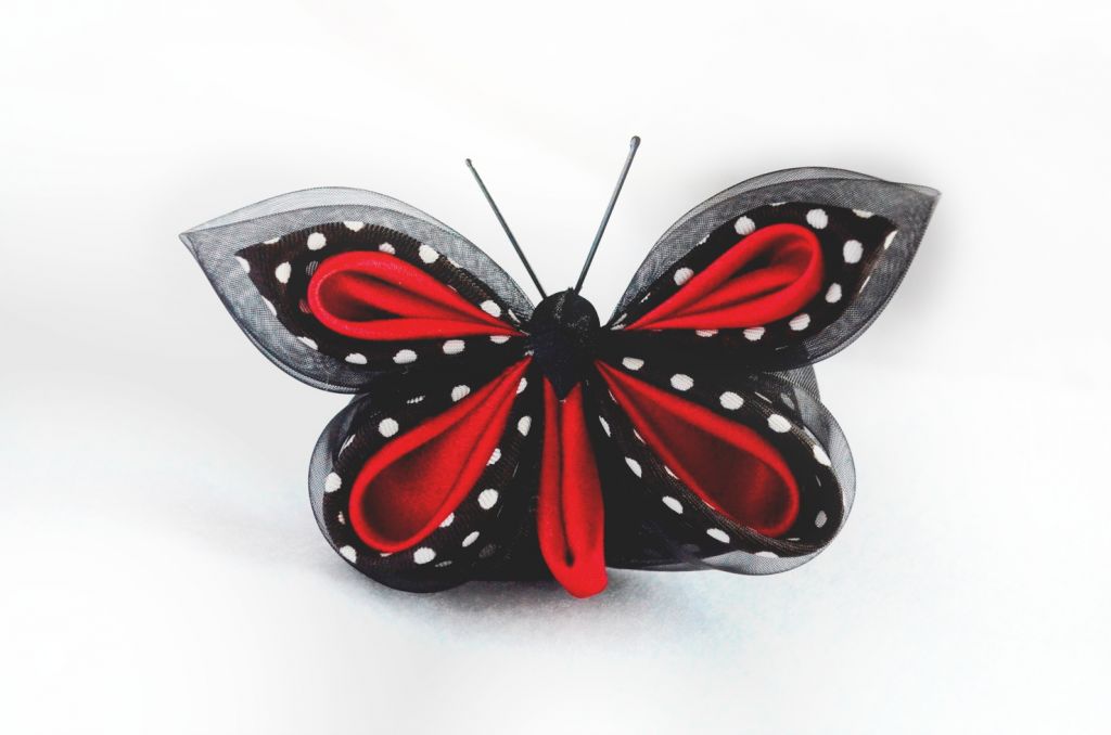 Fluture buline rosu negru